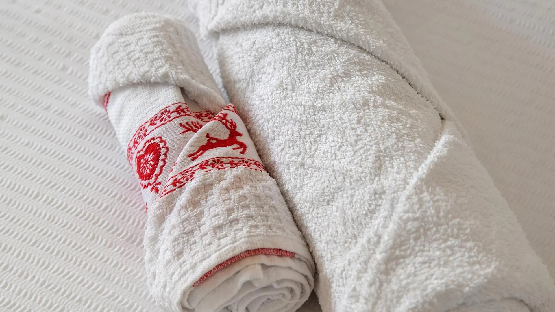 Le Nene - Dolomiti Guesthouse Pieve di Cadore Guest house